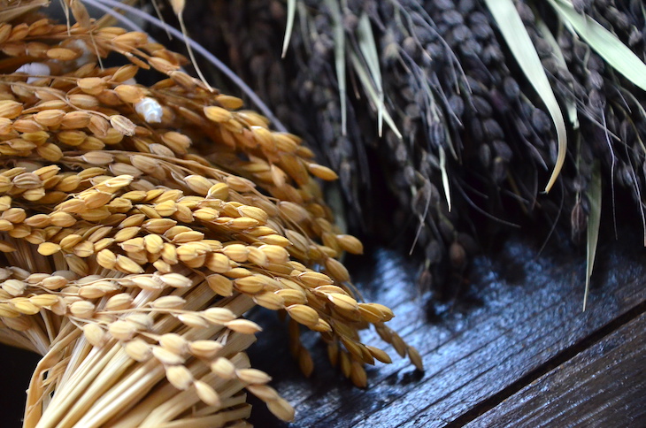 豊作を願う稲作信仰とも結びついているしめ縄の材料には、主に刈り取って干した稲わらが使われています。